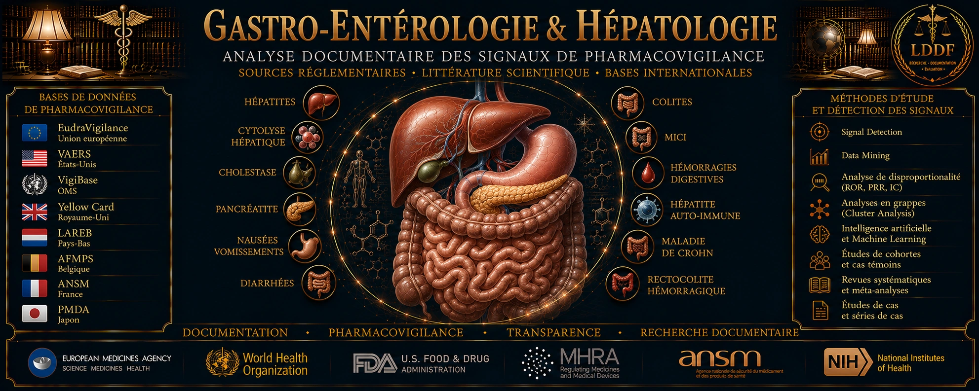 Gastroentérologie — Le Droit des Faits
