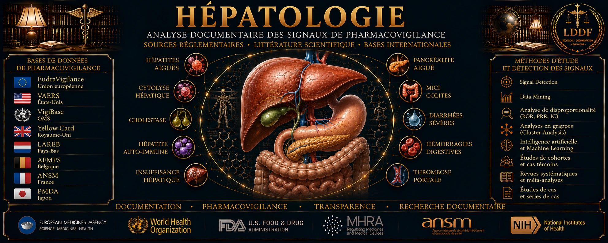 Hépatologie — Le Droit des Faits