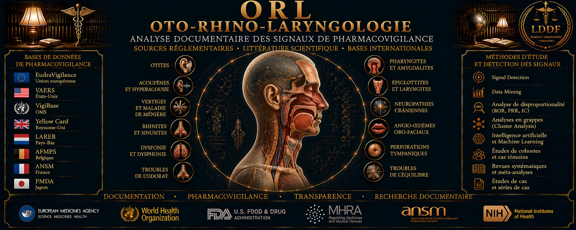 ORL — Le Droit des Faits