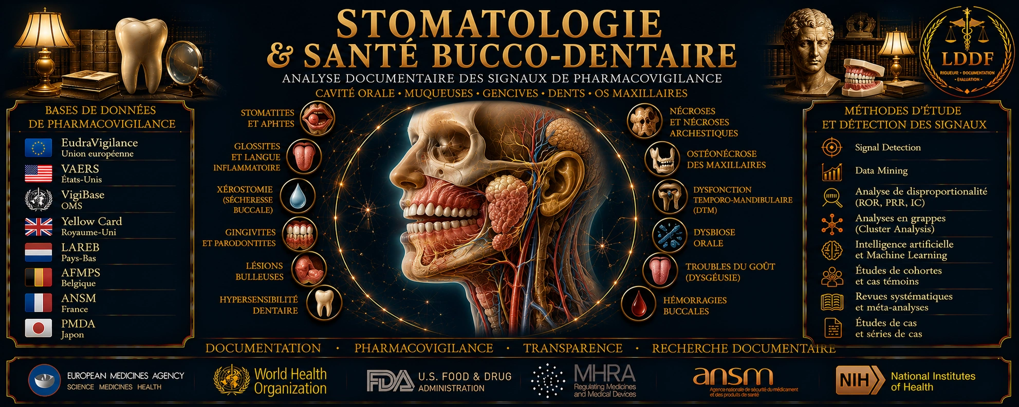 Stomatologie & Santé Bucco-Dentaire — Le Droit des Faits
